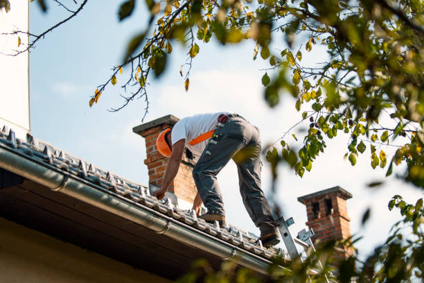 Best Roof Insulation Installation  in Orangeville, UT